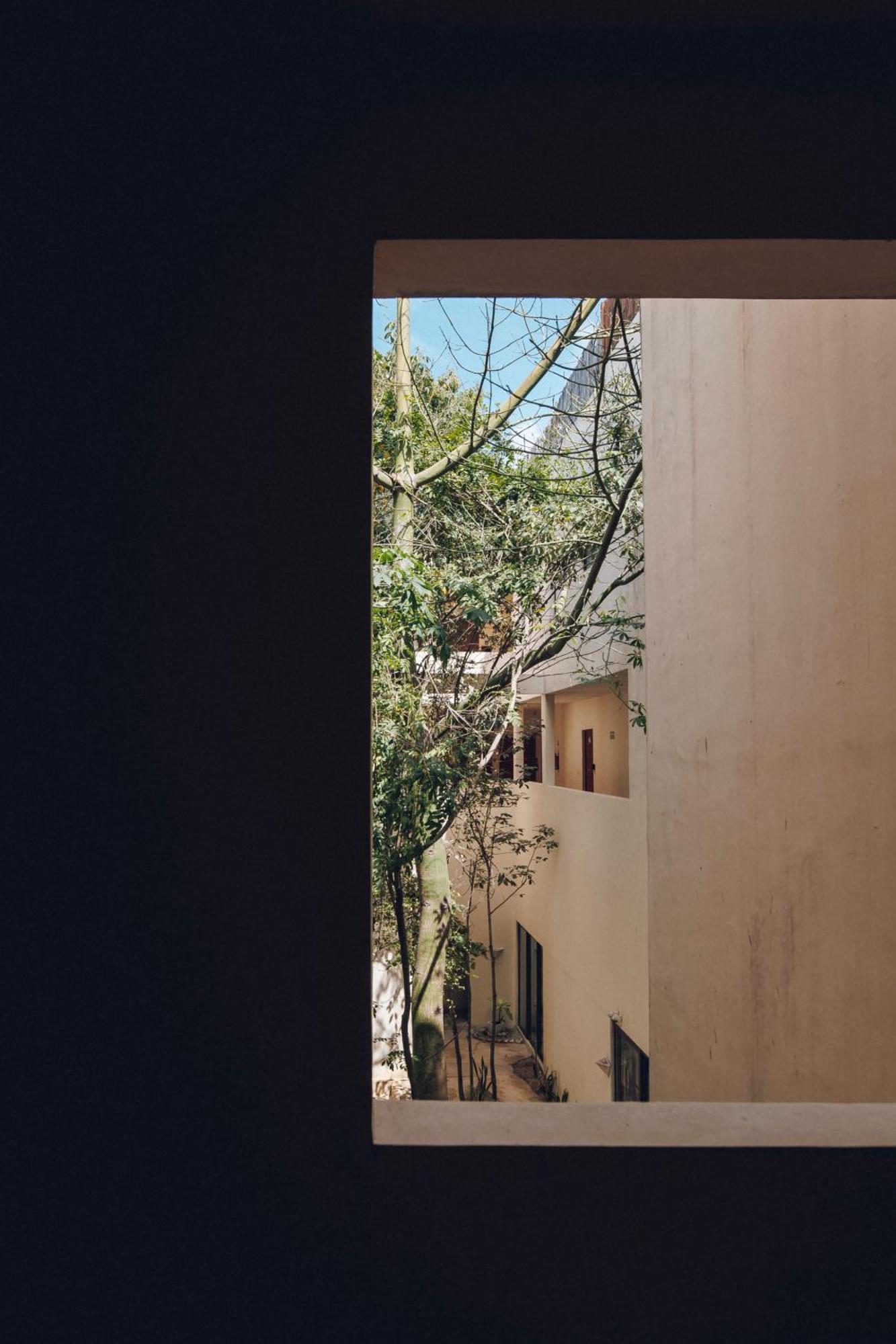 2 Bikes Free Exlusive Building Close To The Sea Tulum Extérieur photo