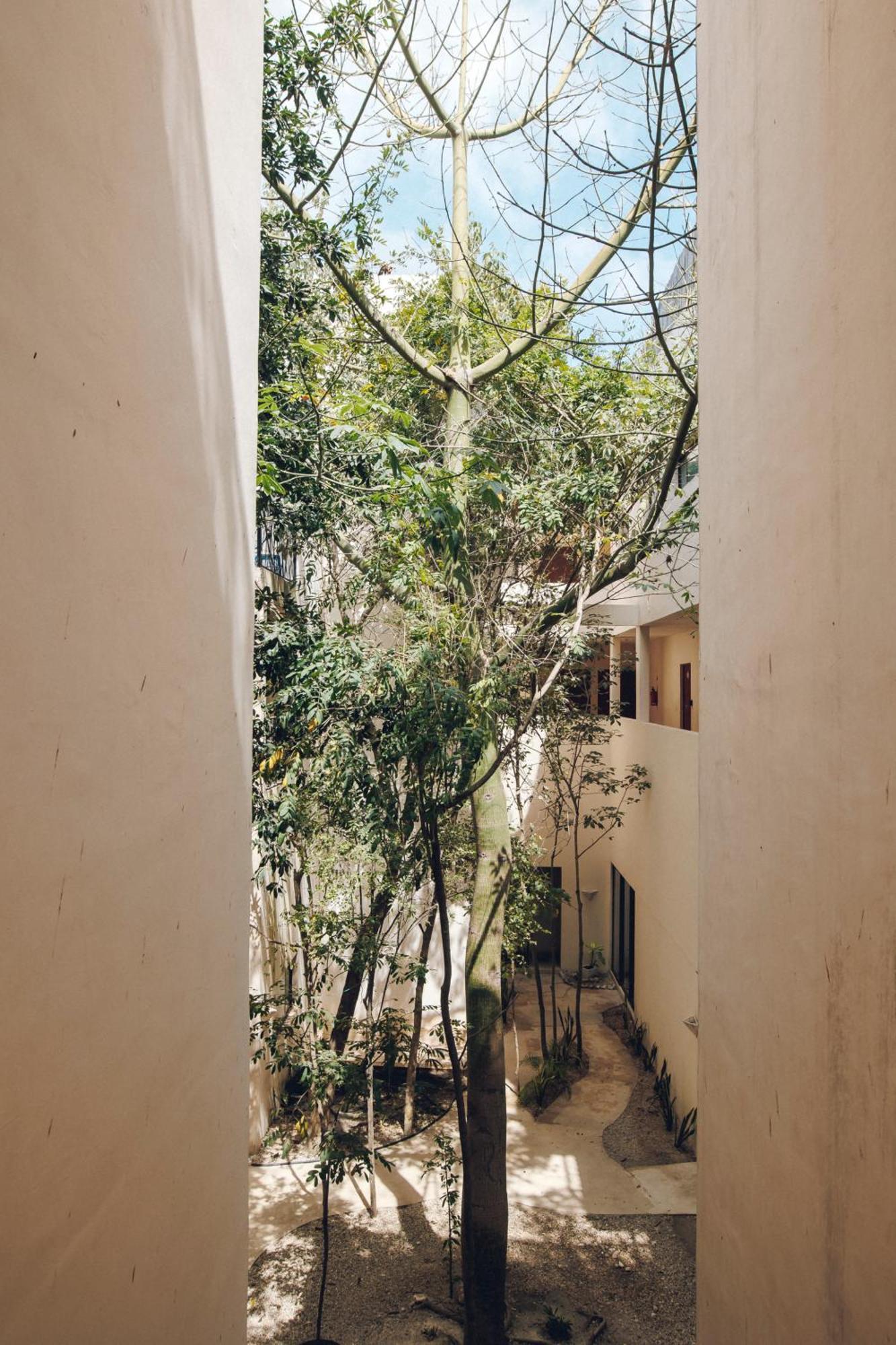 2 Bikes Free Exlusive Building Close To The Sea Tulum Extérieur photo
