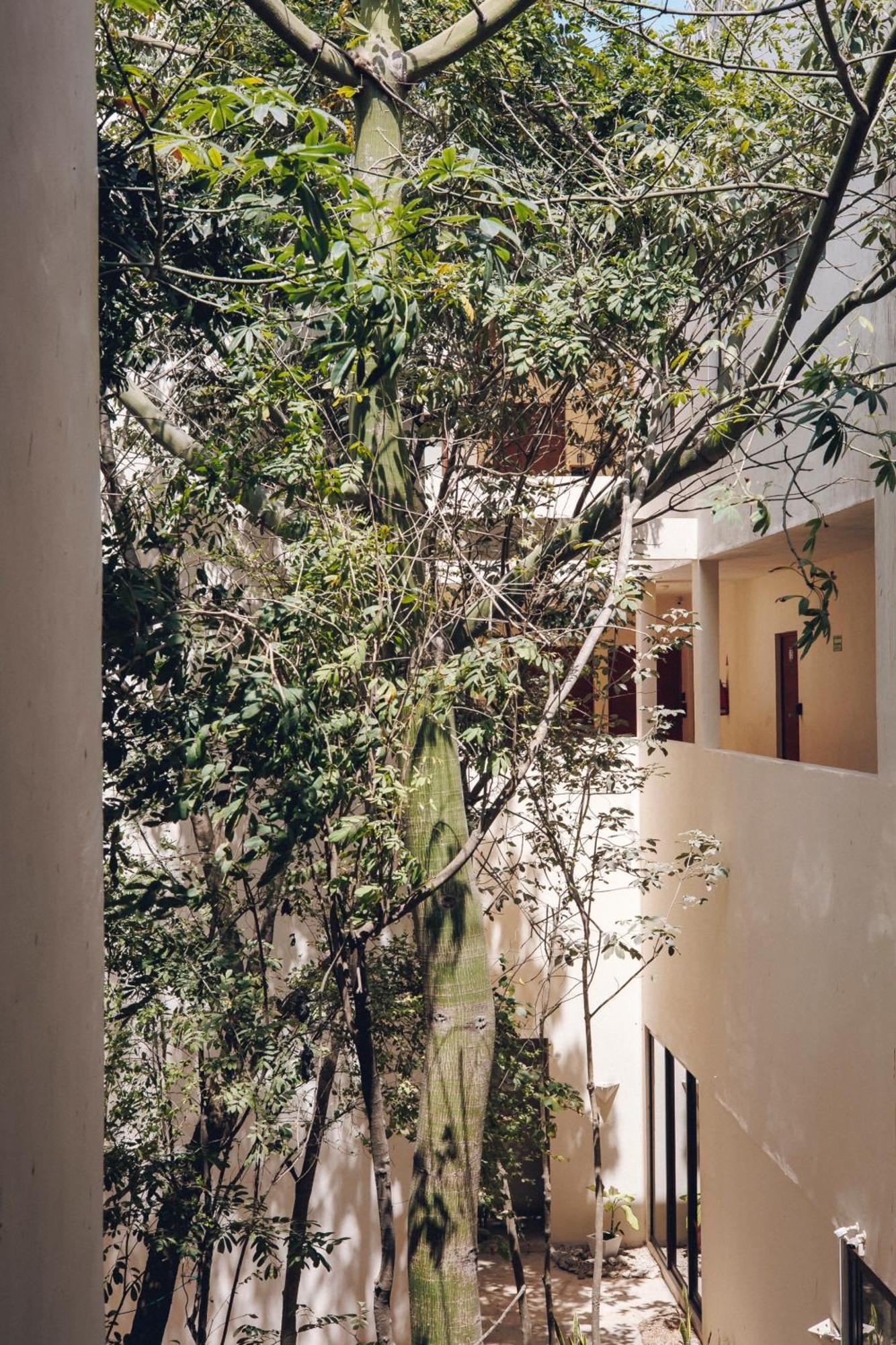 2 Bikes Free Exlusive Building Close To The Sea Tulum Extérieur photo